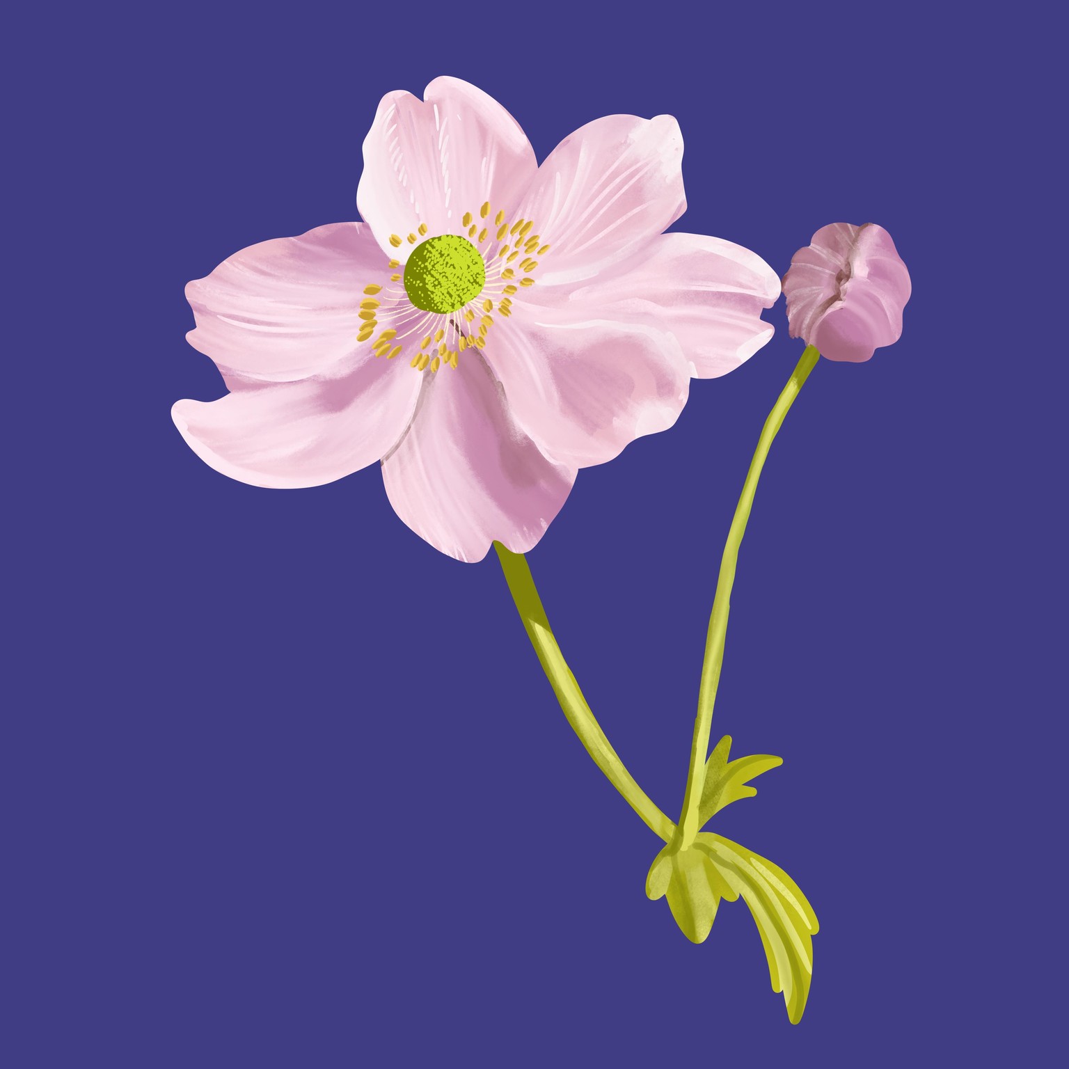 some pretty flowers - image 2 - student project