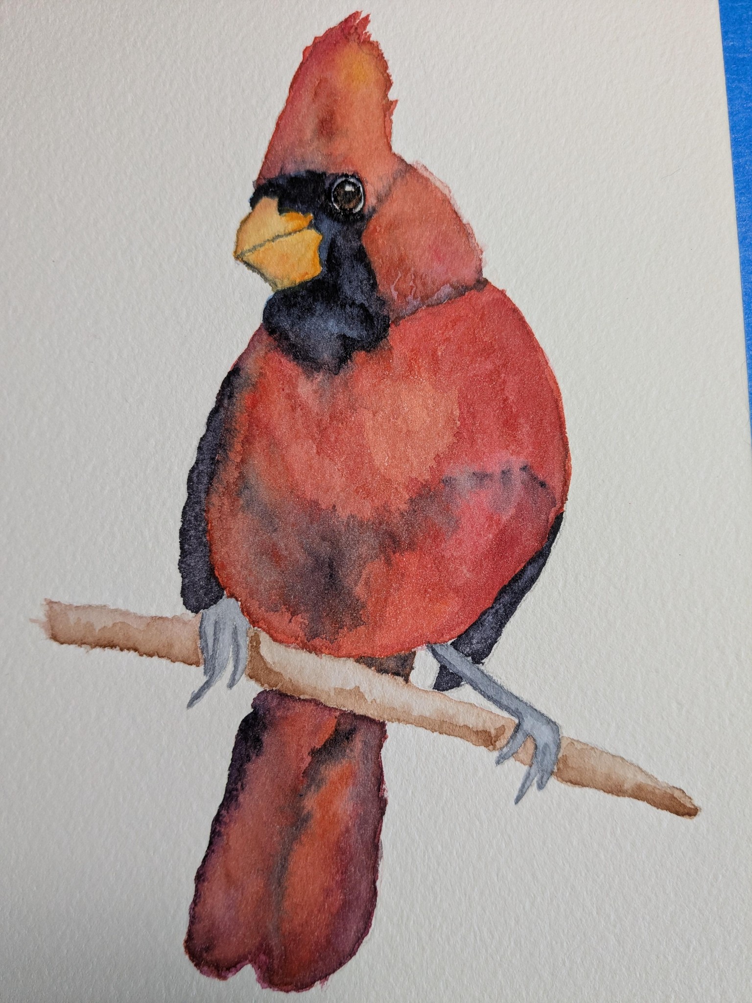 Cardinal - image 1 - student project