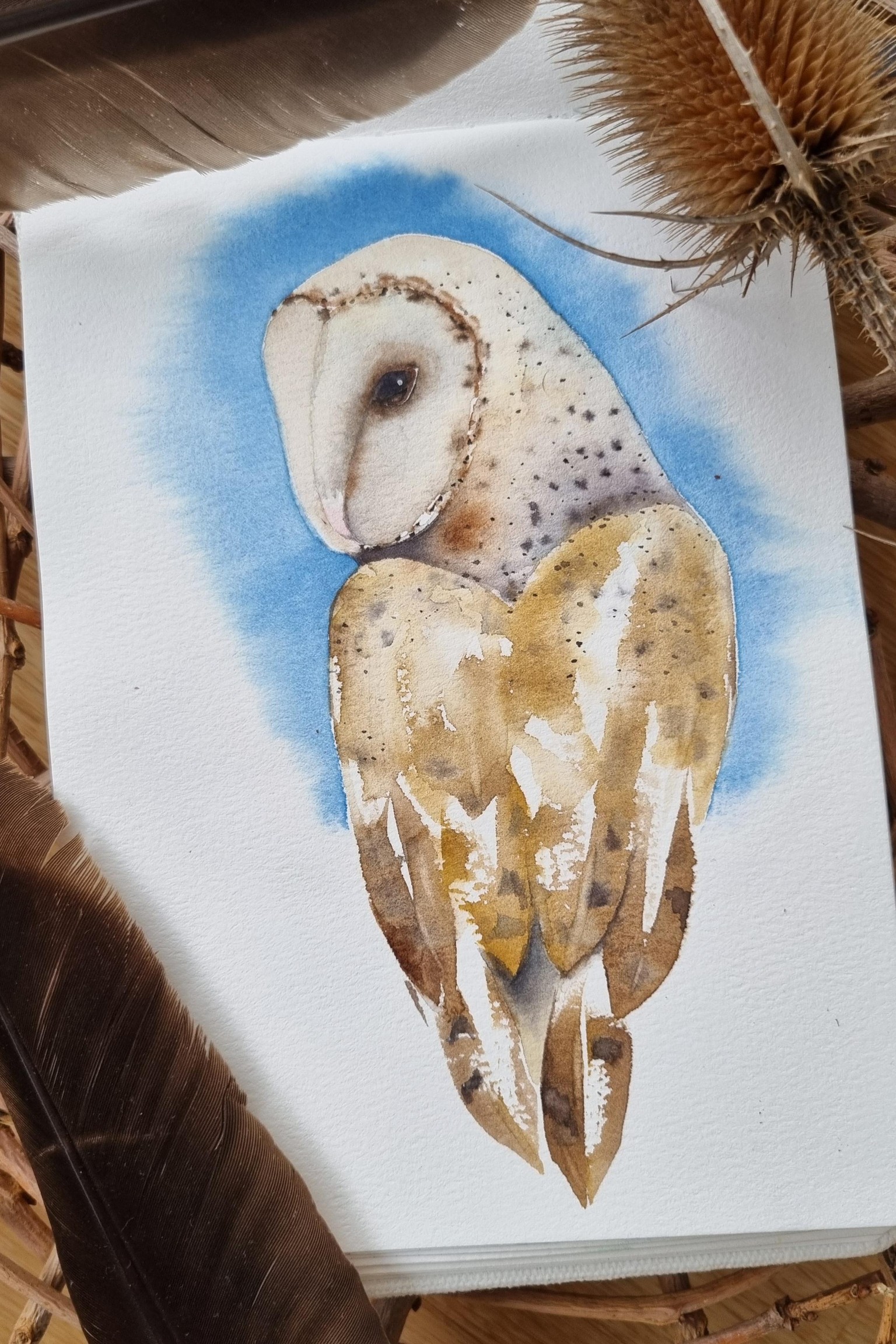Wise Owl - image 2 - student project