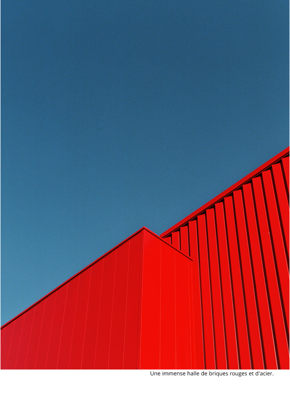 Base de la conception visuelle - image 2 - student project