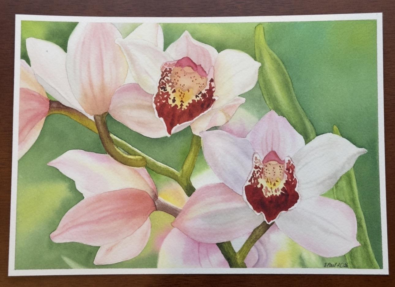 Beautiful orchids - image 1 - student project