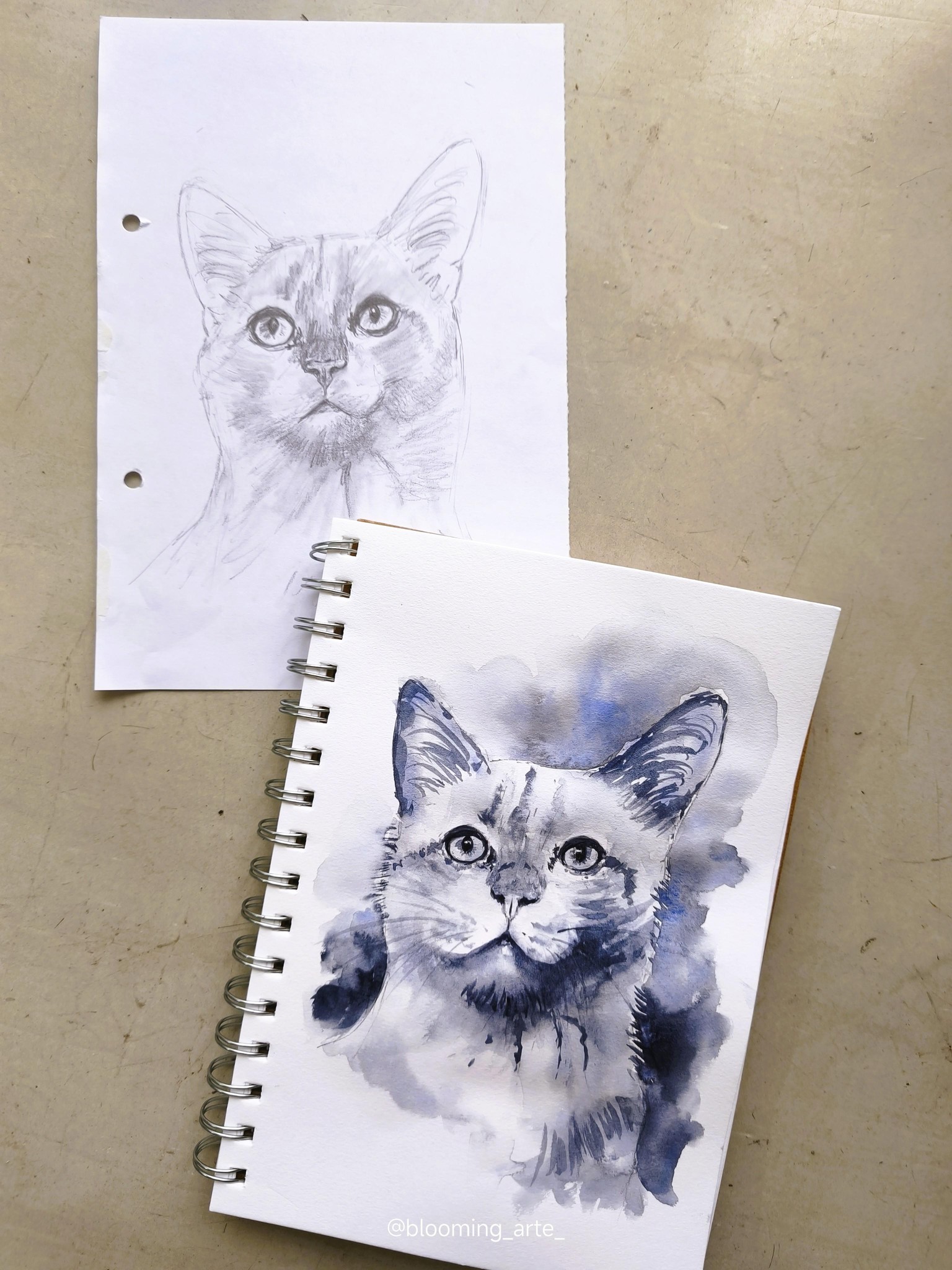 Sketching Animal Portraits: Breaking Down References & Proportions - image 1 - student project
