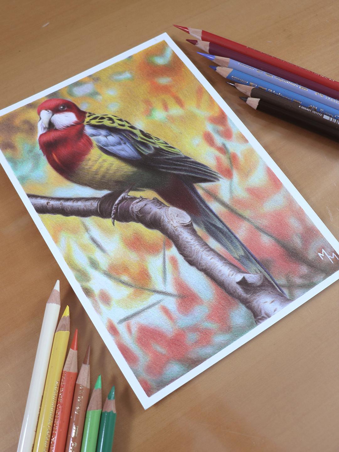Drawing a bird with 12 colors - image 2 - student project