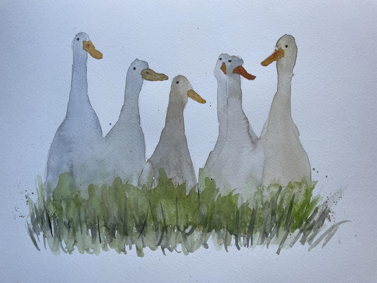 Watercolour Ducks, first project - image 1 - student project