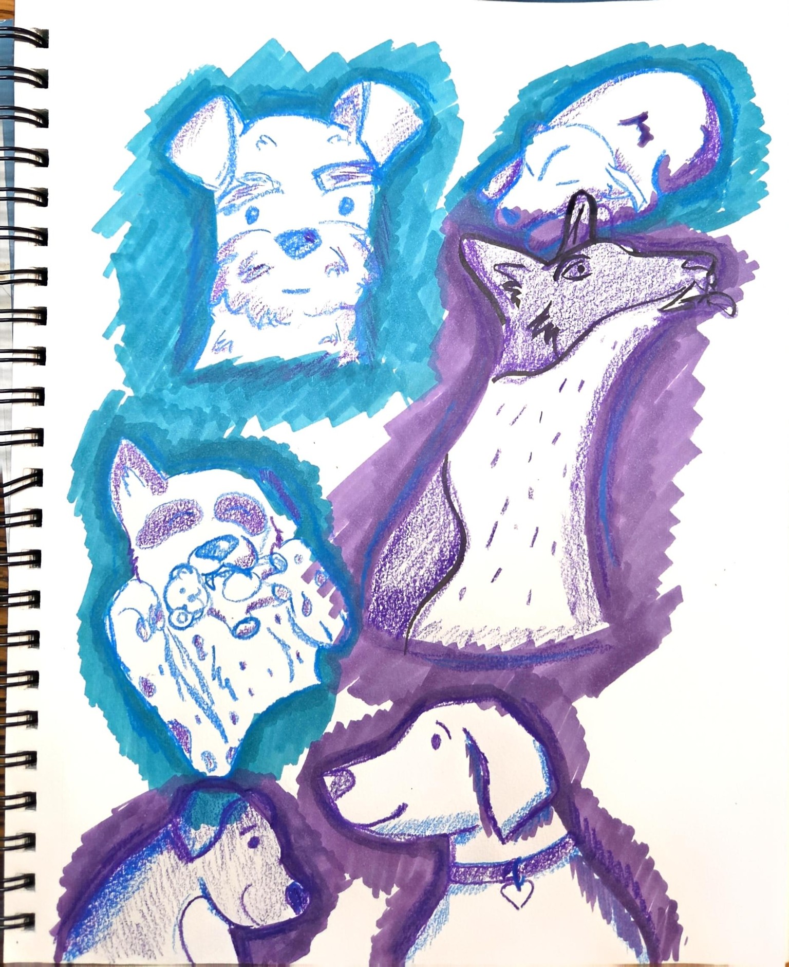 My goofy dogs - image 1 - student project