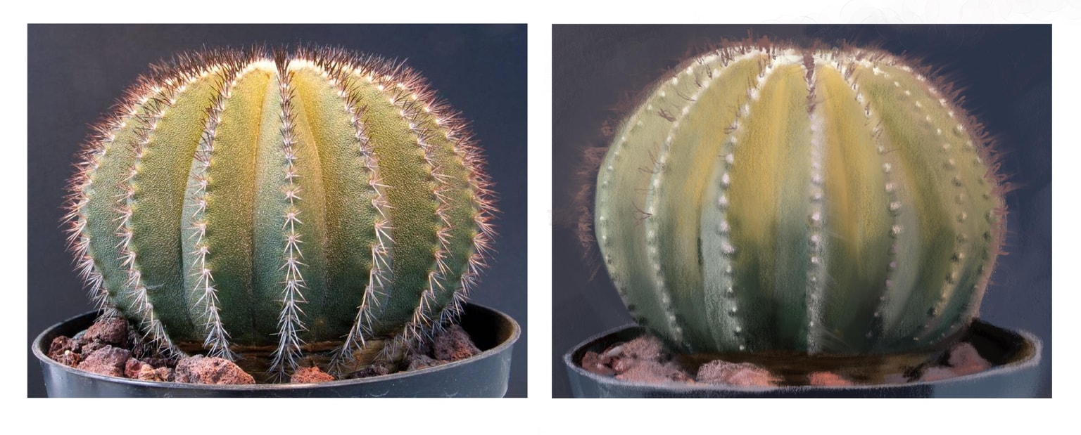 Cactus - image 1 - student project