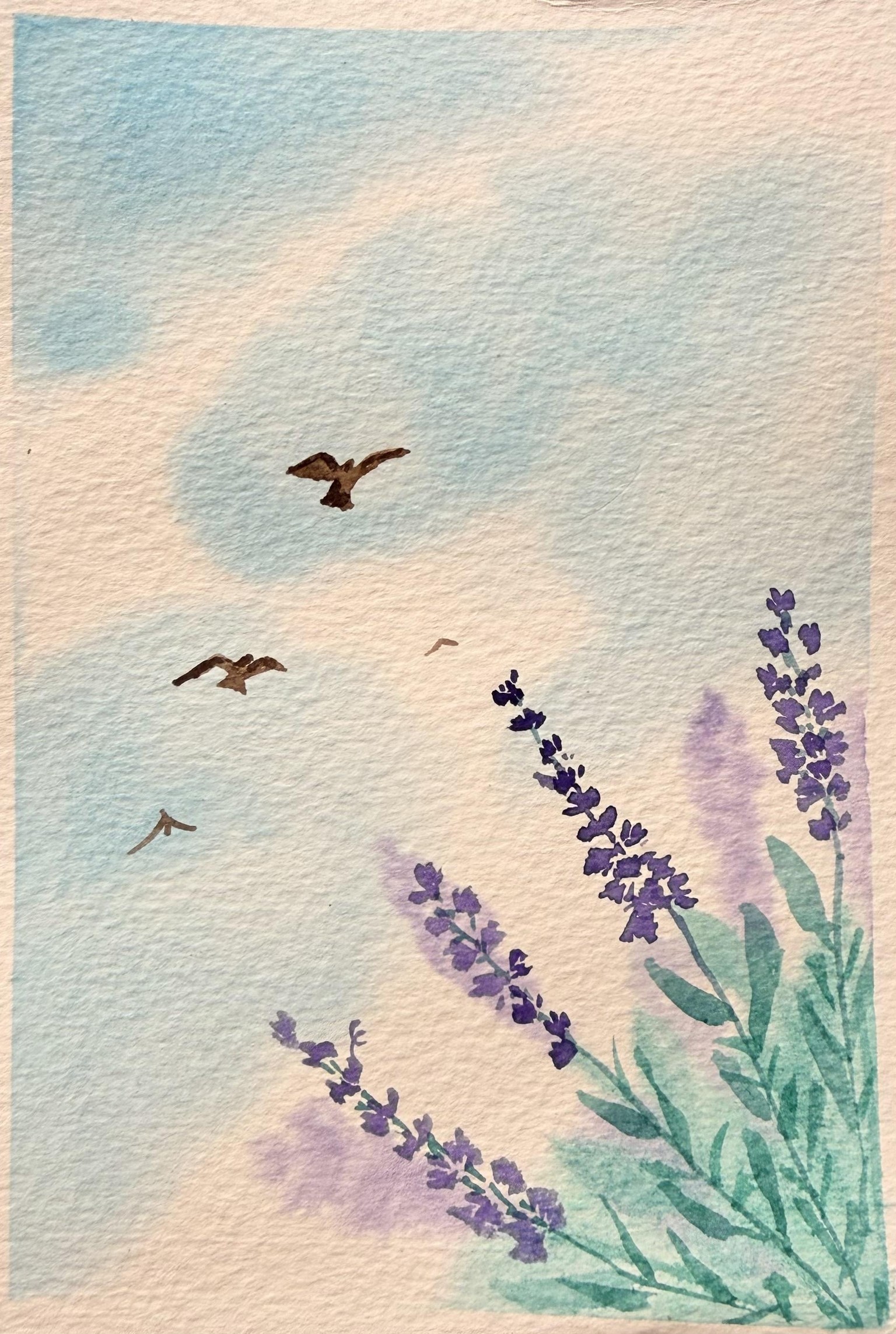 Nature in water colour - image 4 - student project