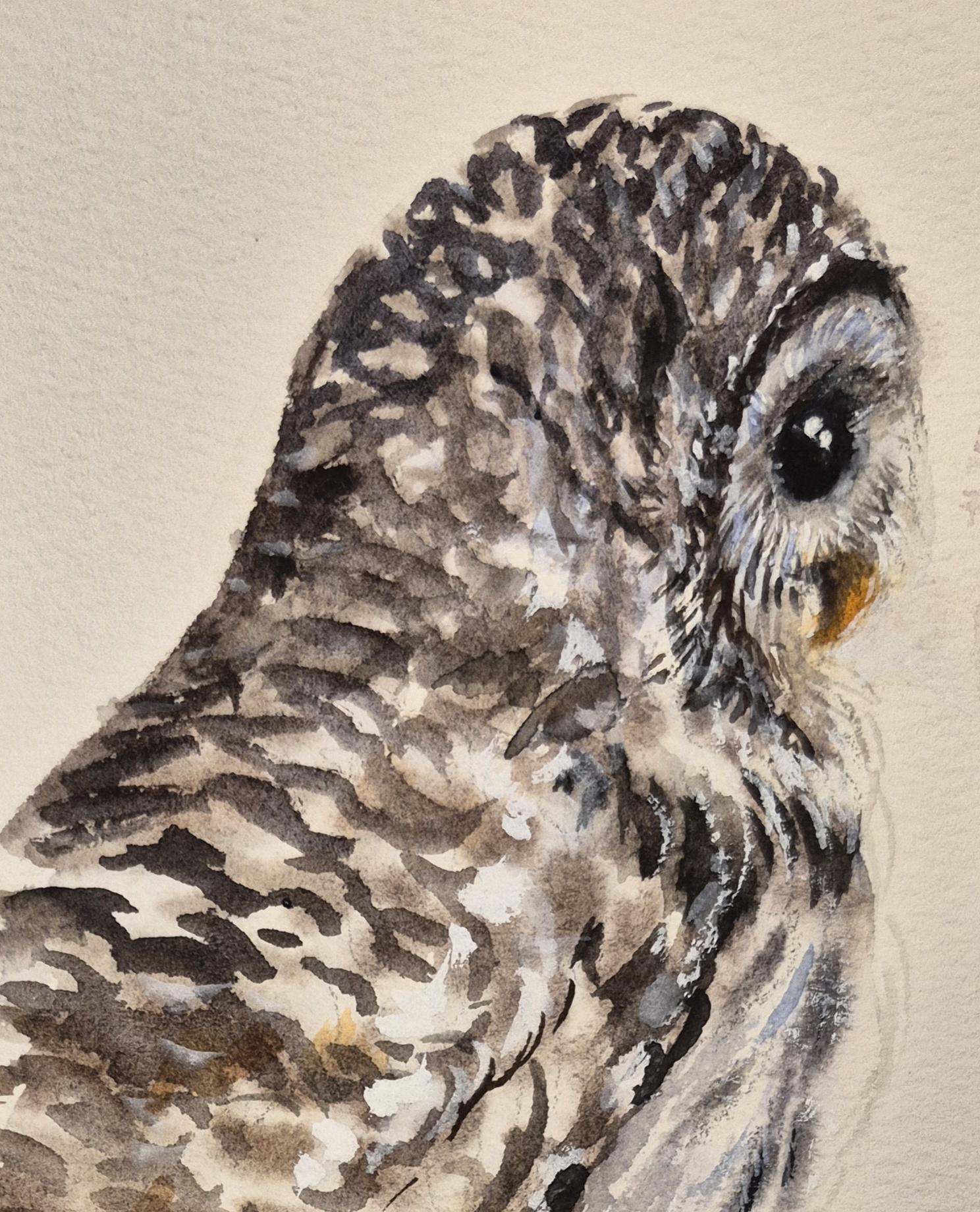 7 Days of Owls Sketchbook Challenge: Ink, Watercolor & Procreate Techniques to Level Up Your Art - image 1 - student project