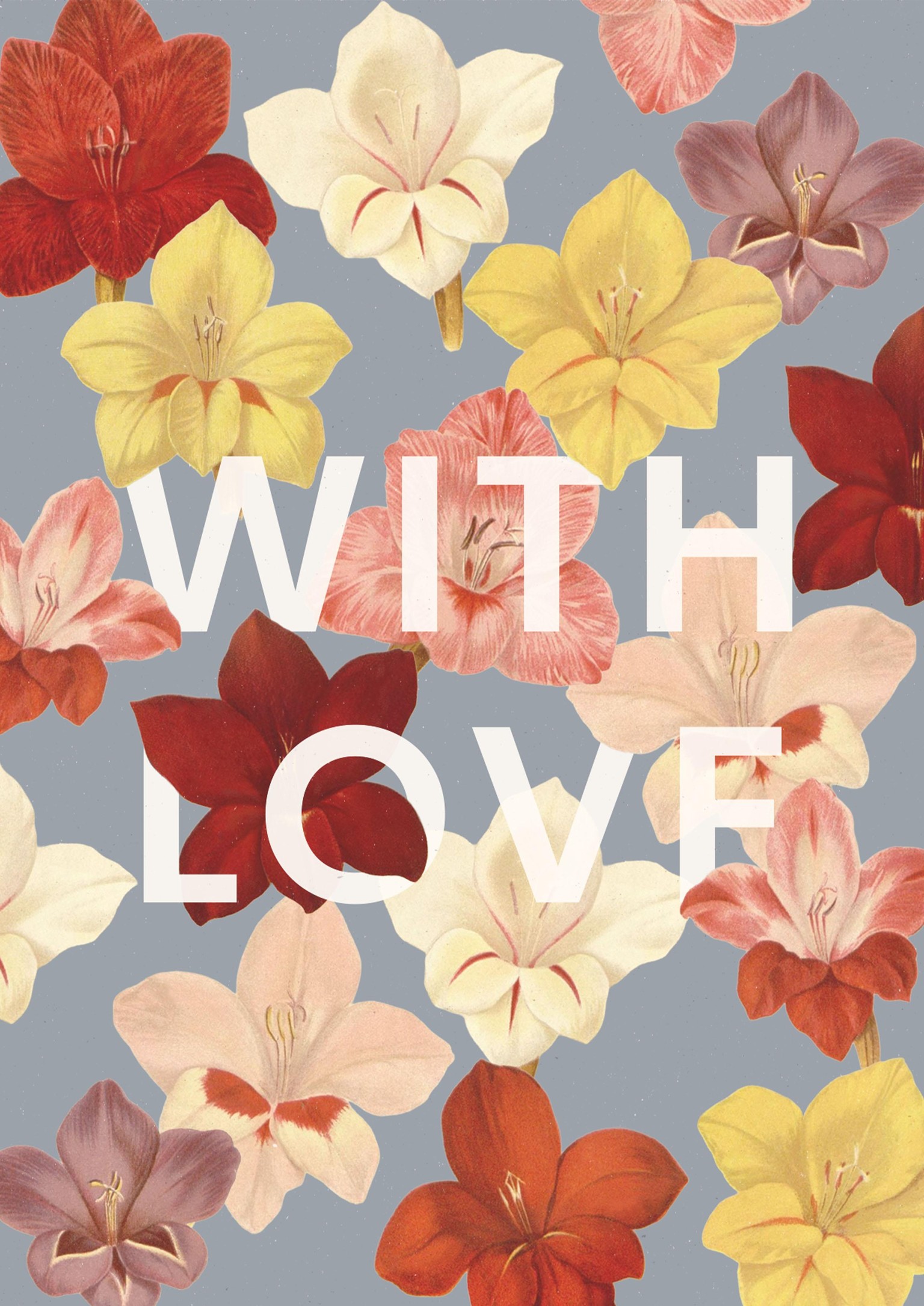 Gladiolus With Love Card - image 5 - student project