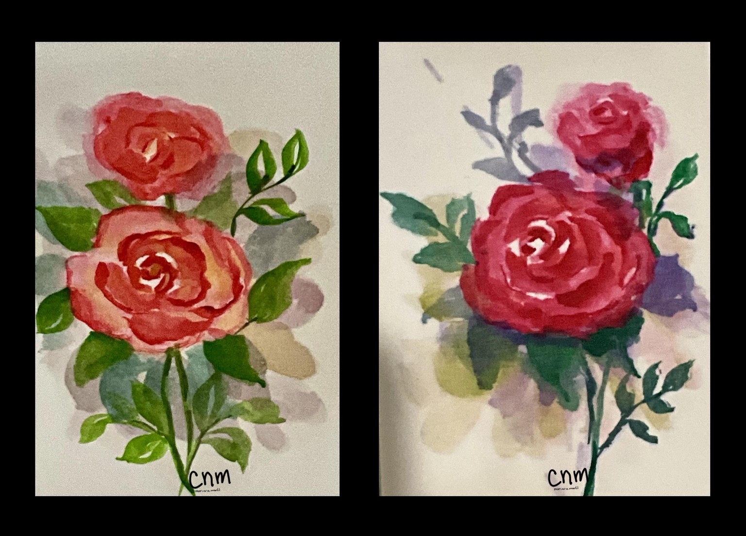 Roses - image 1 - student project