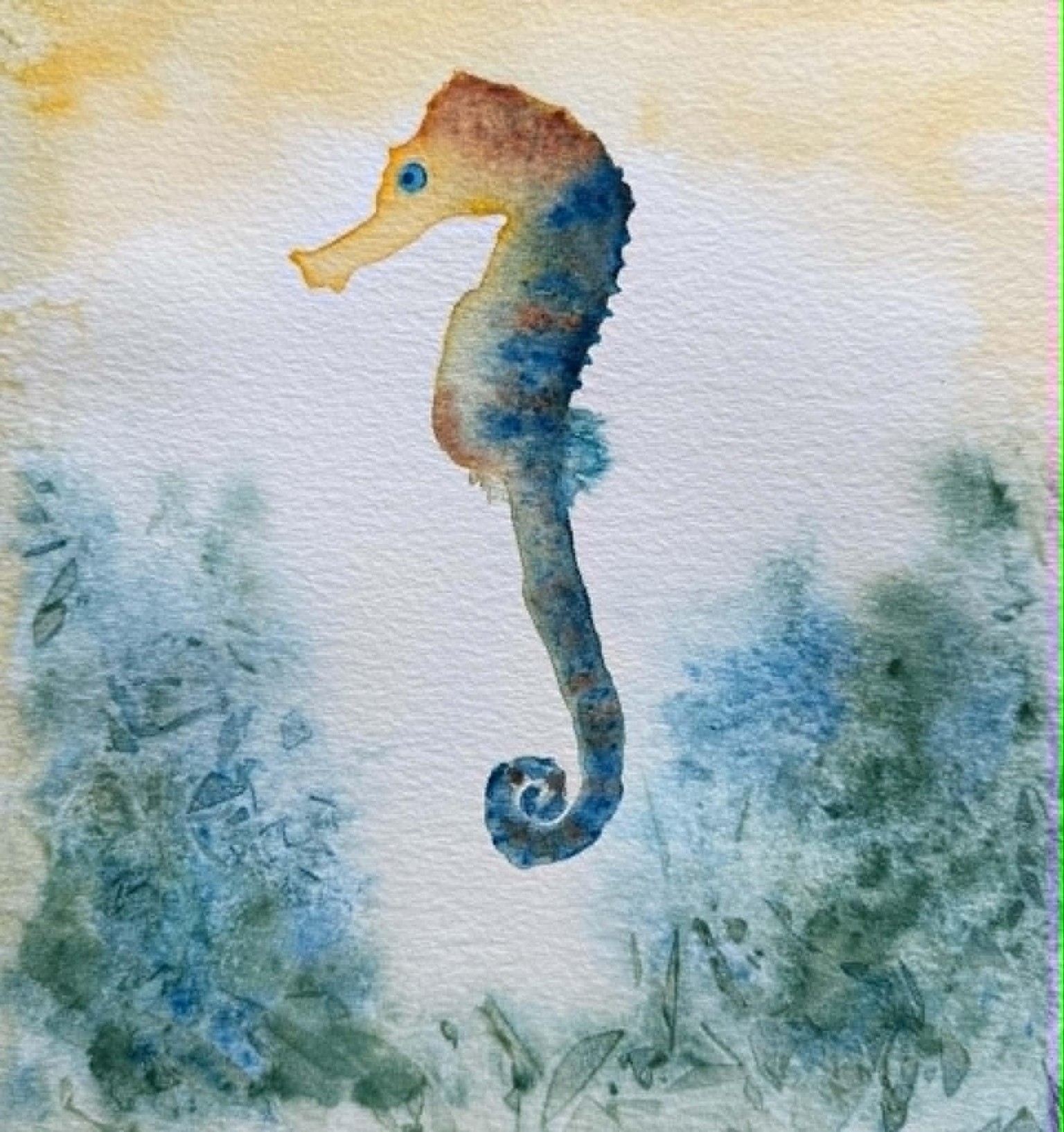 Seahorse - image 1 - student project