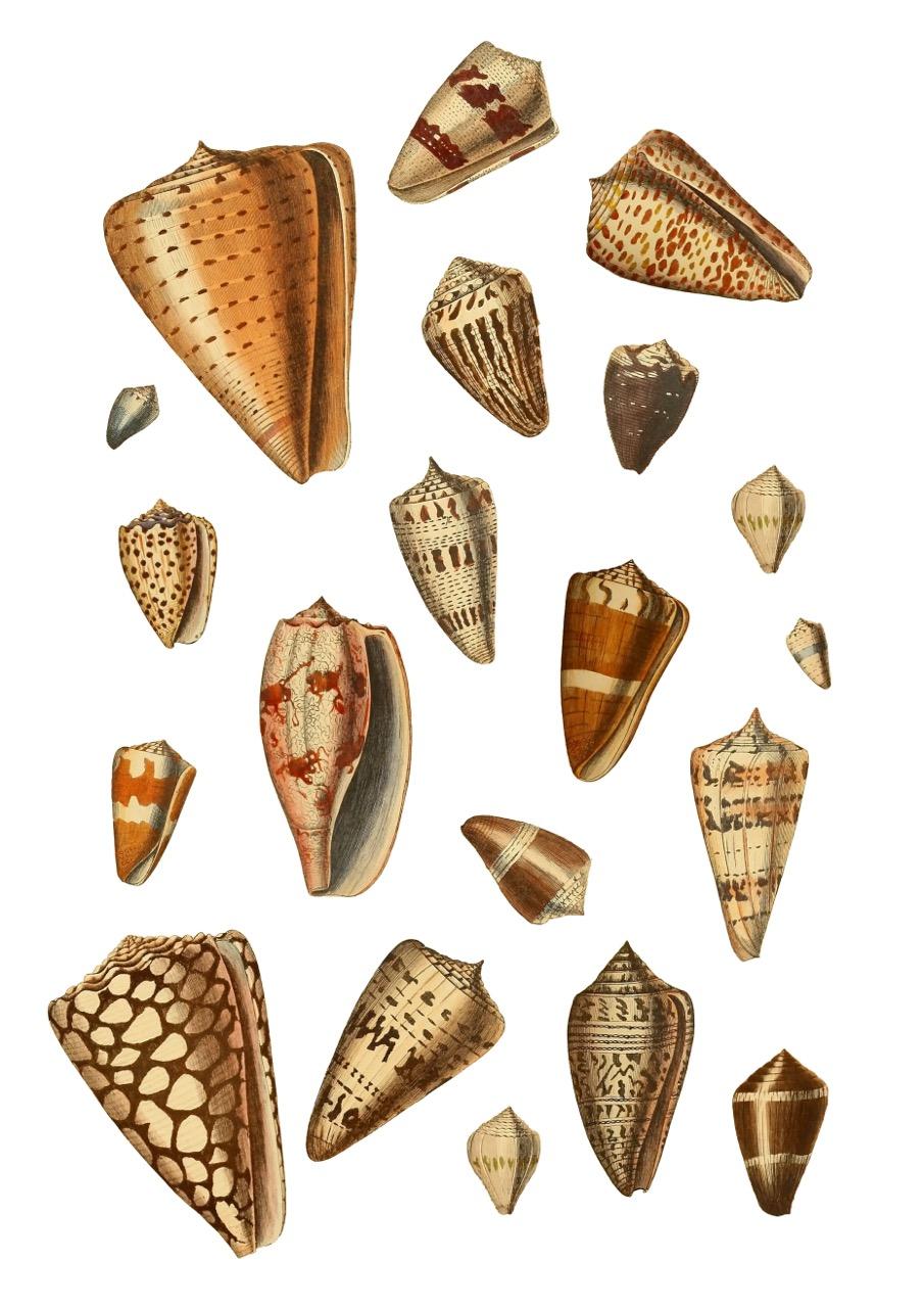 Pretty Patterns! - image 2 - student project