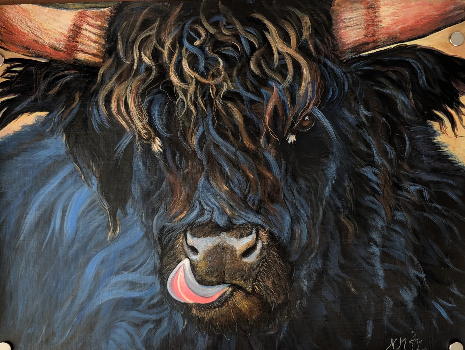 Updated Bull Highland Cow on acrylic - image 2 - student project