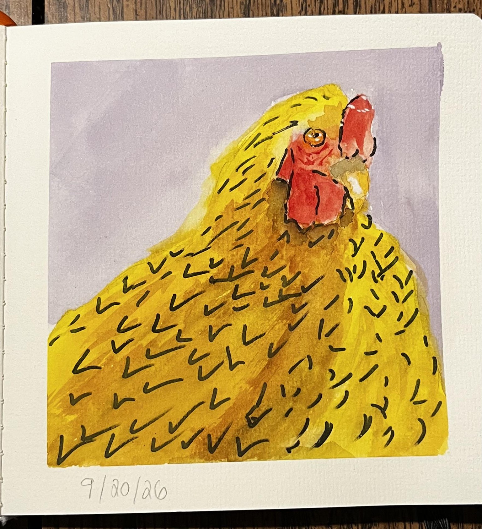 Chicken Portraits - image 2 - student project