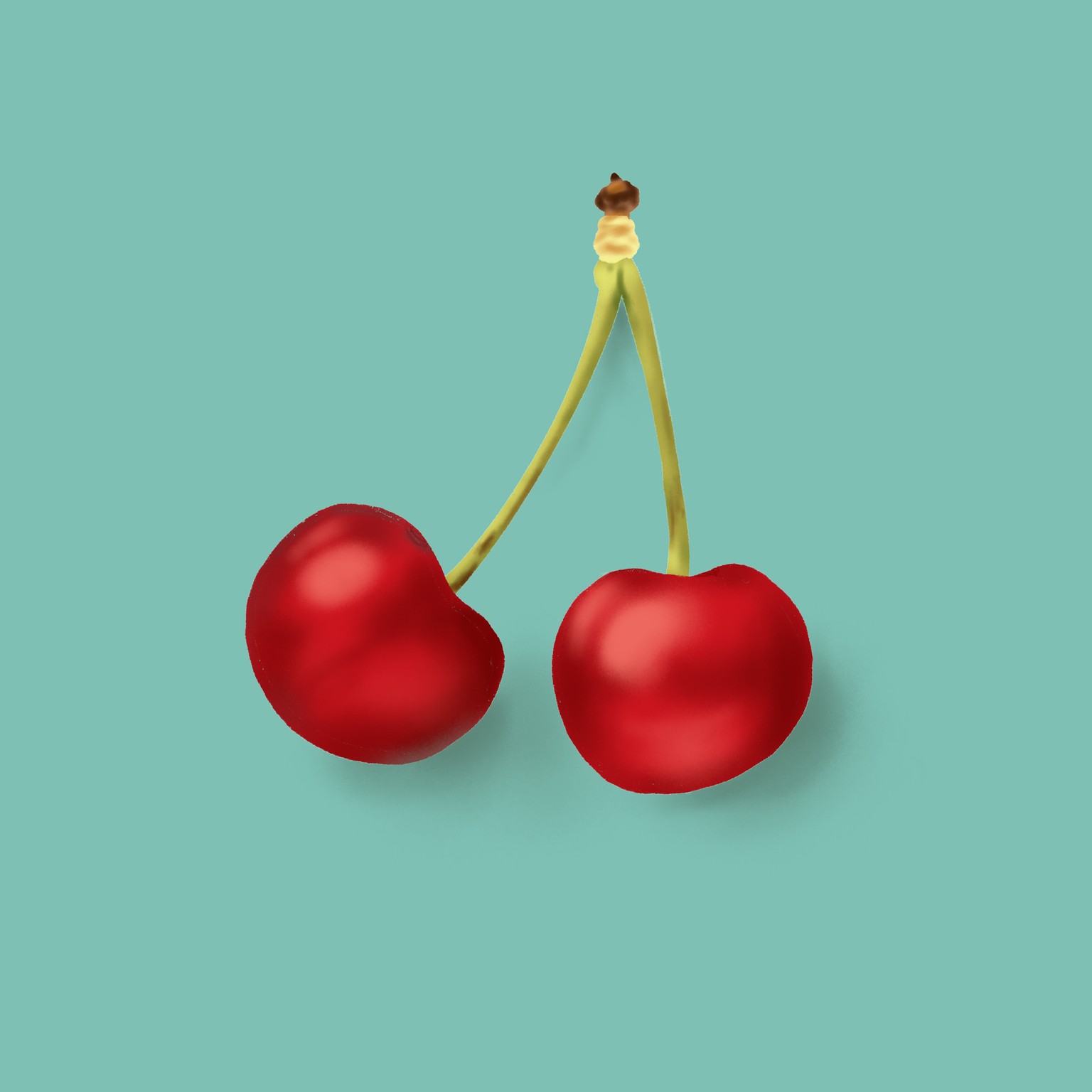 Cherries - image 1 - student project