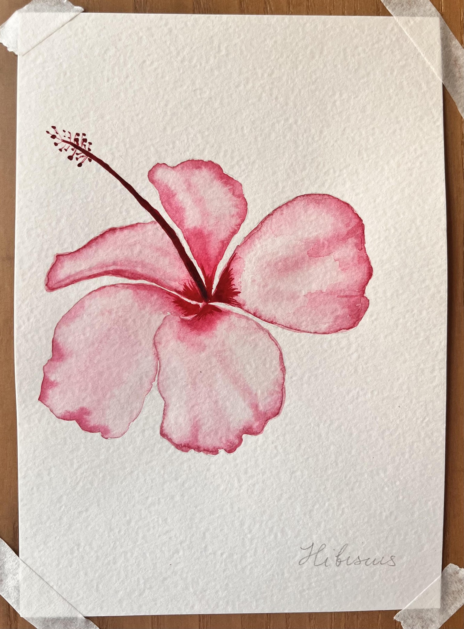 Tropical Plants and Flowers - image 1 - student project