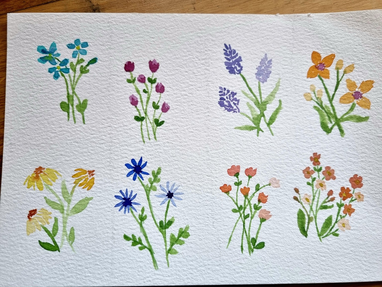 My favorite flowers - image 1 - student project