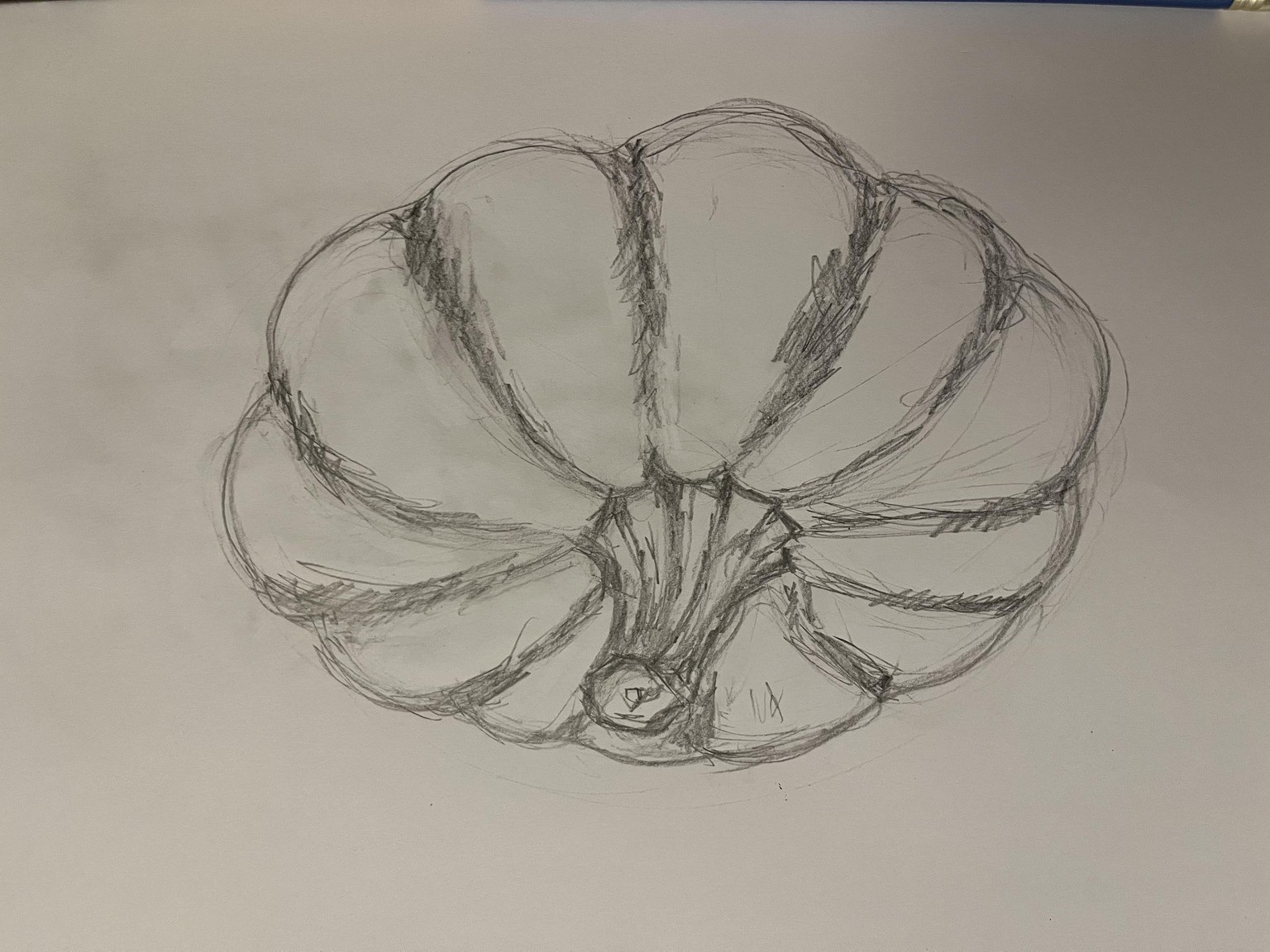 Bling contour drawing - image 2 - student project