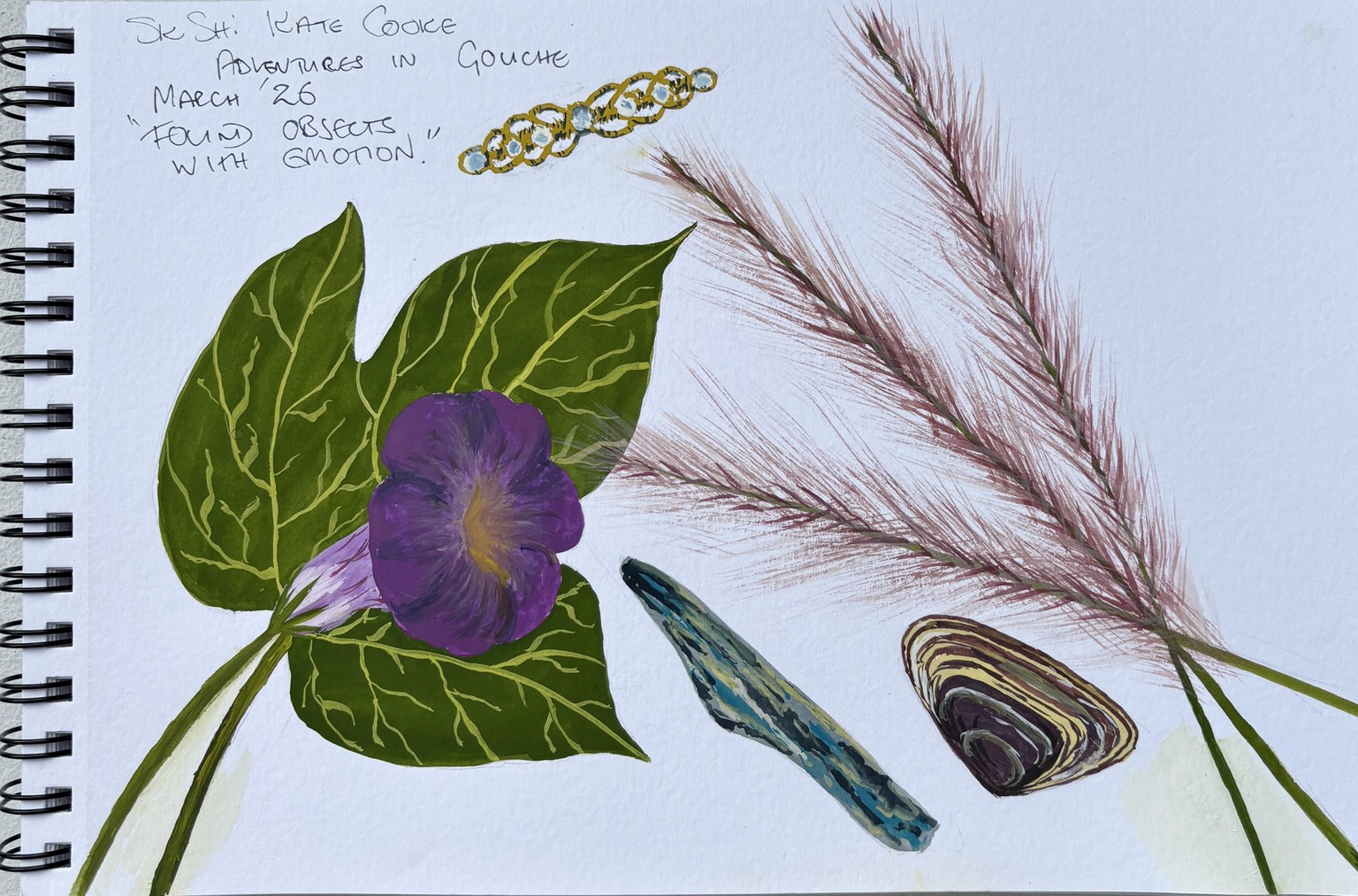 Paua, Pipi Shells & Plants in Gouache - image 5 - student project