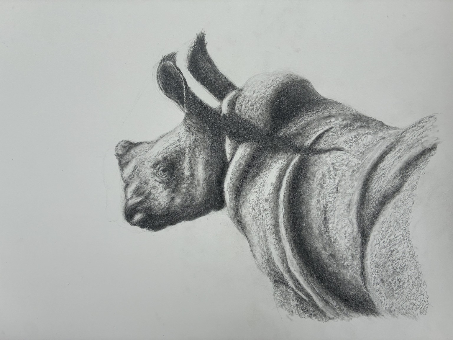 Baby Rihno in Blended Graphite - image 4 - student project