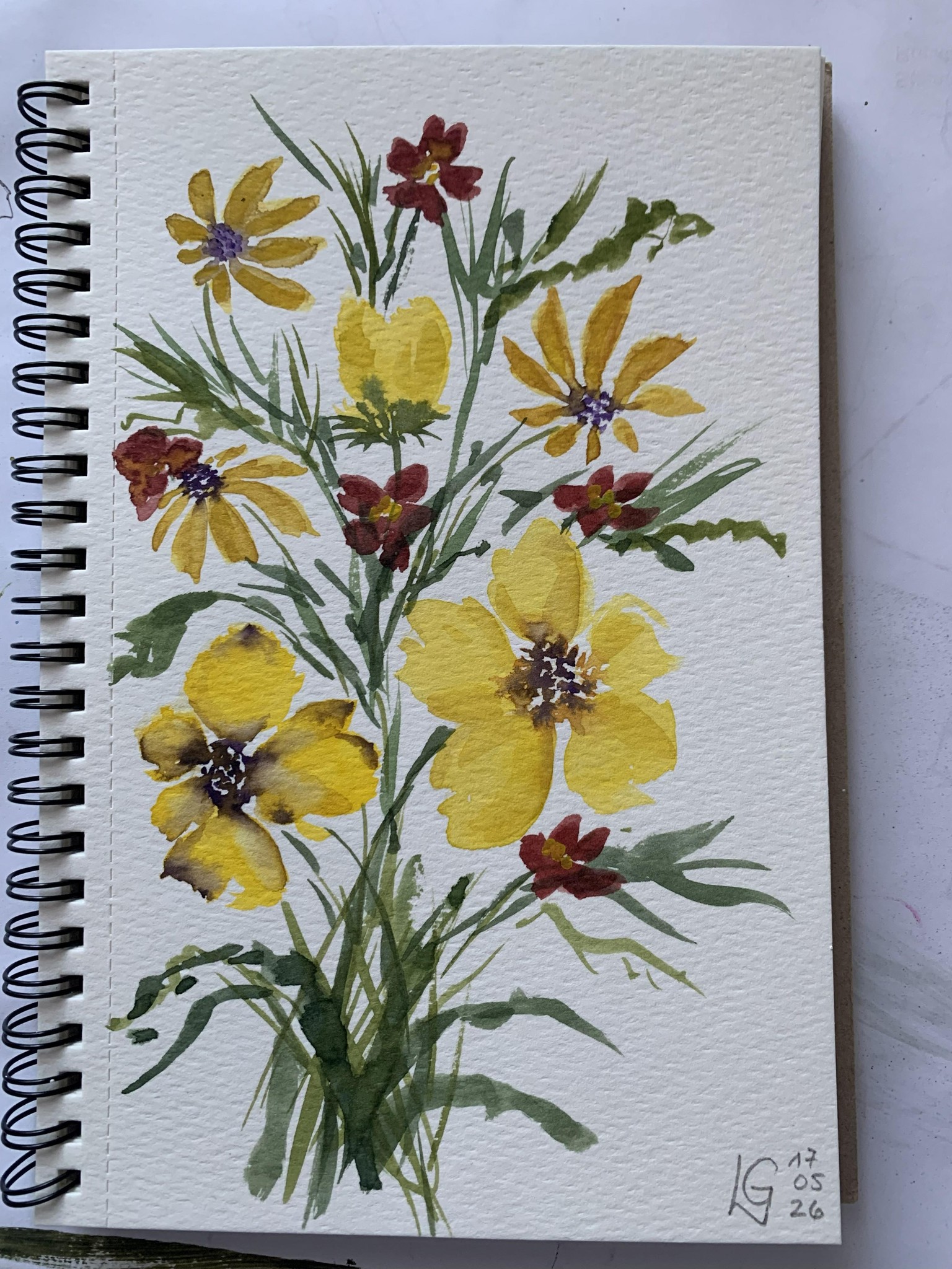 Daisy Field - image 1 - student project