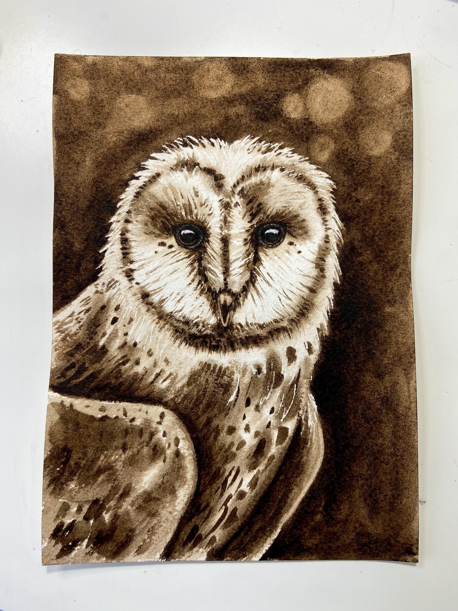 Monochrome Owl and Flamingo - image 1 - student project