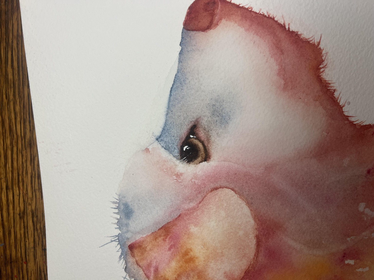 Fun furry dog in loose watercolor - image 2 - student project