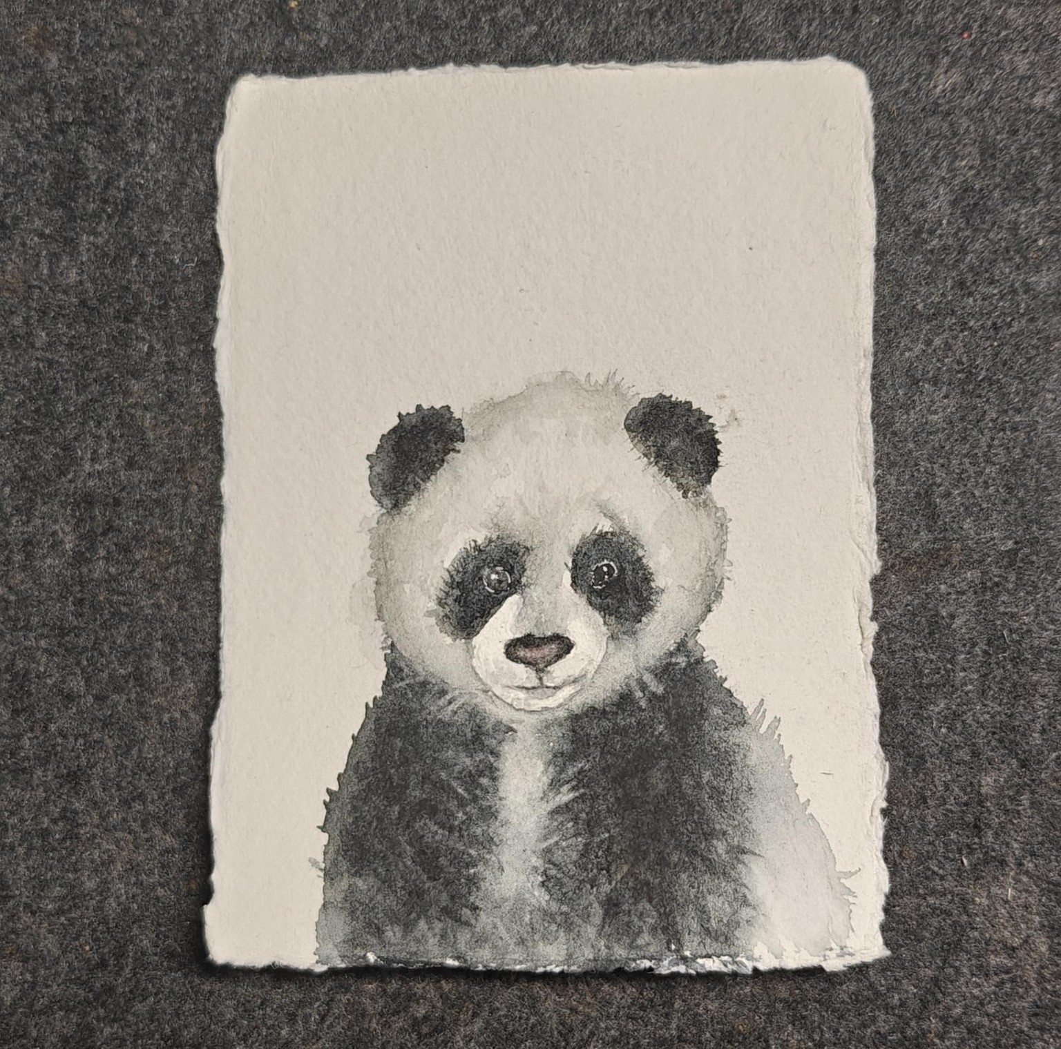 Cute little animals - image 2 - student project