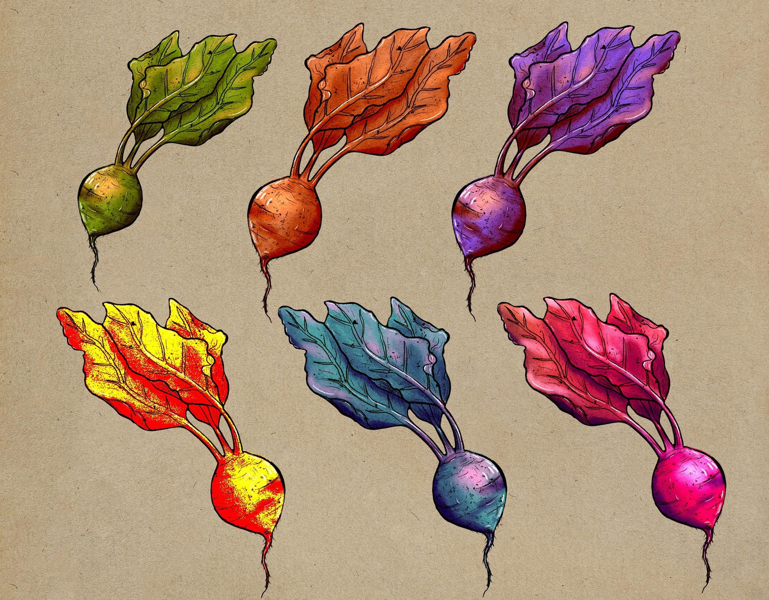 Turnip (beet? radish? ) parade of color! - image 1 - student project