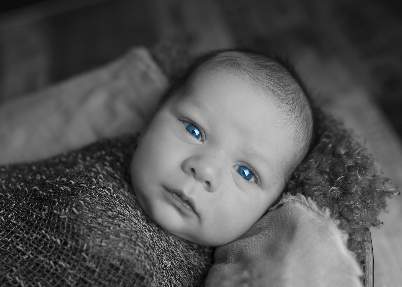 a school assignment! - image 1 - student project
