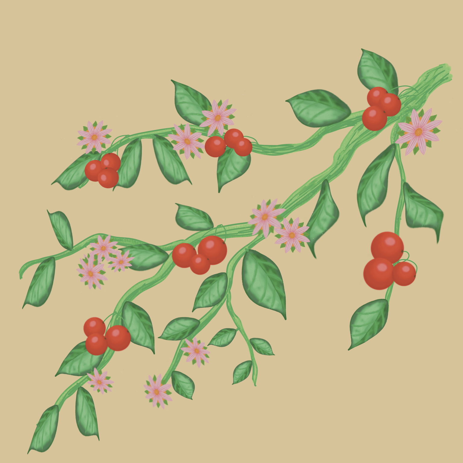 First digital images…… - image 1 - student project