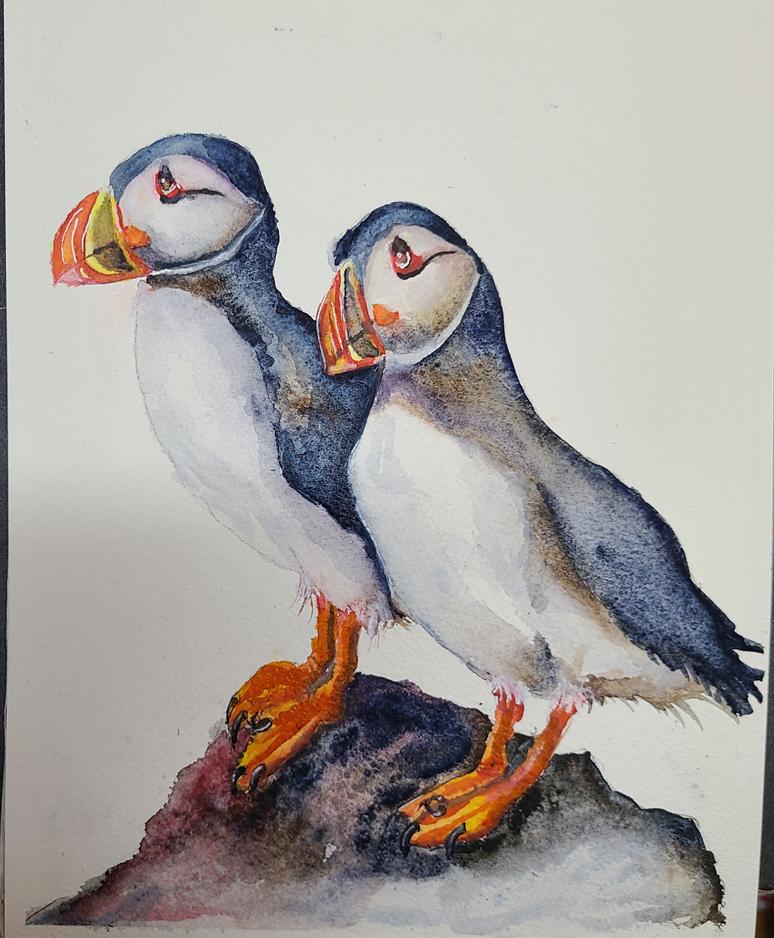 Puffins with Jane - image 3 - student project