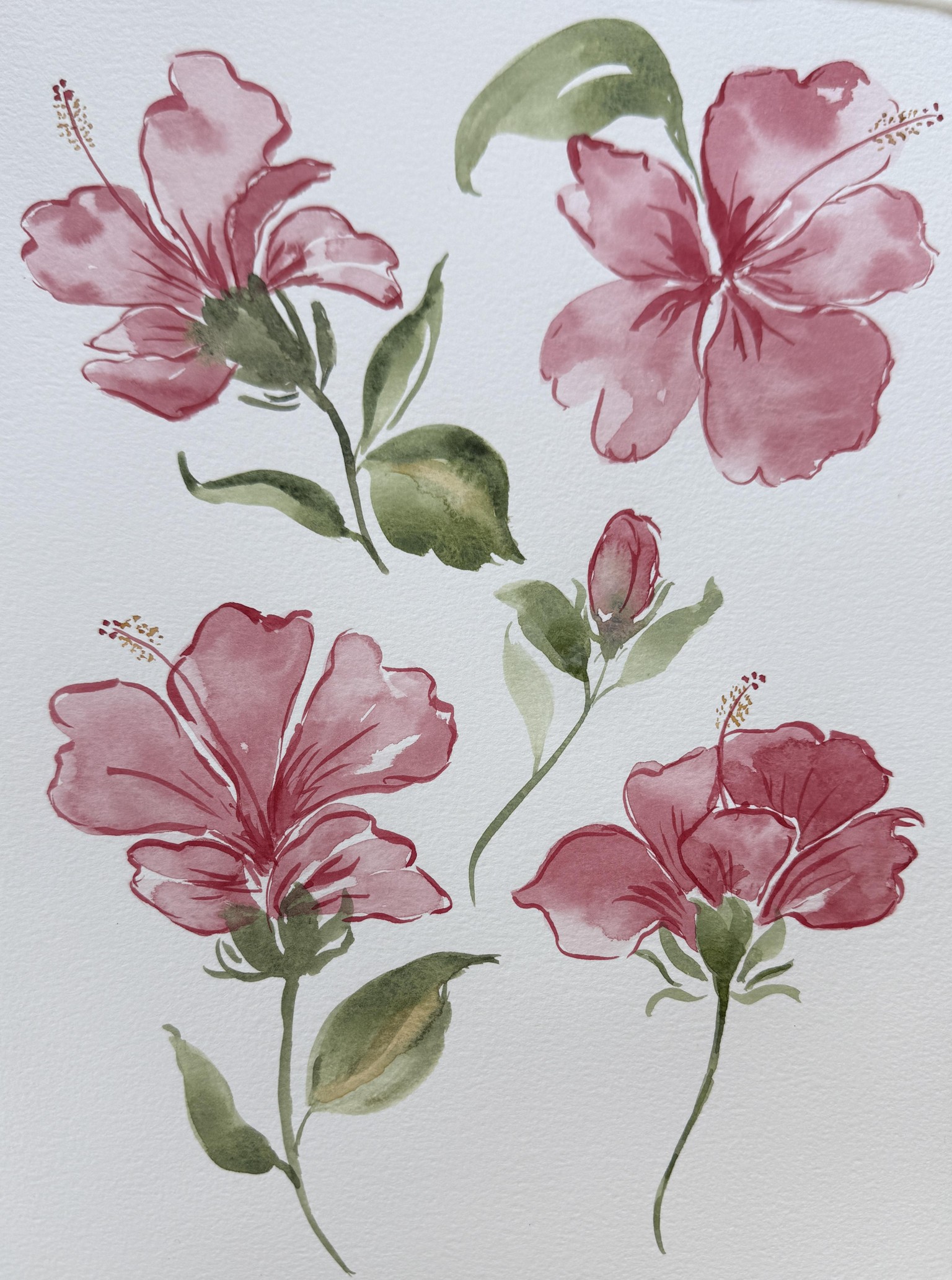 Hibiscus Flowers - image 1 - student project