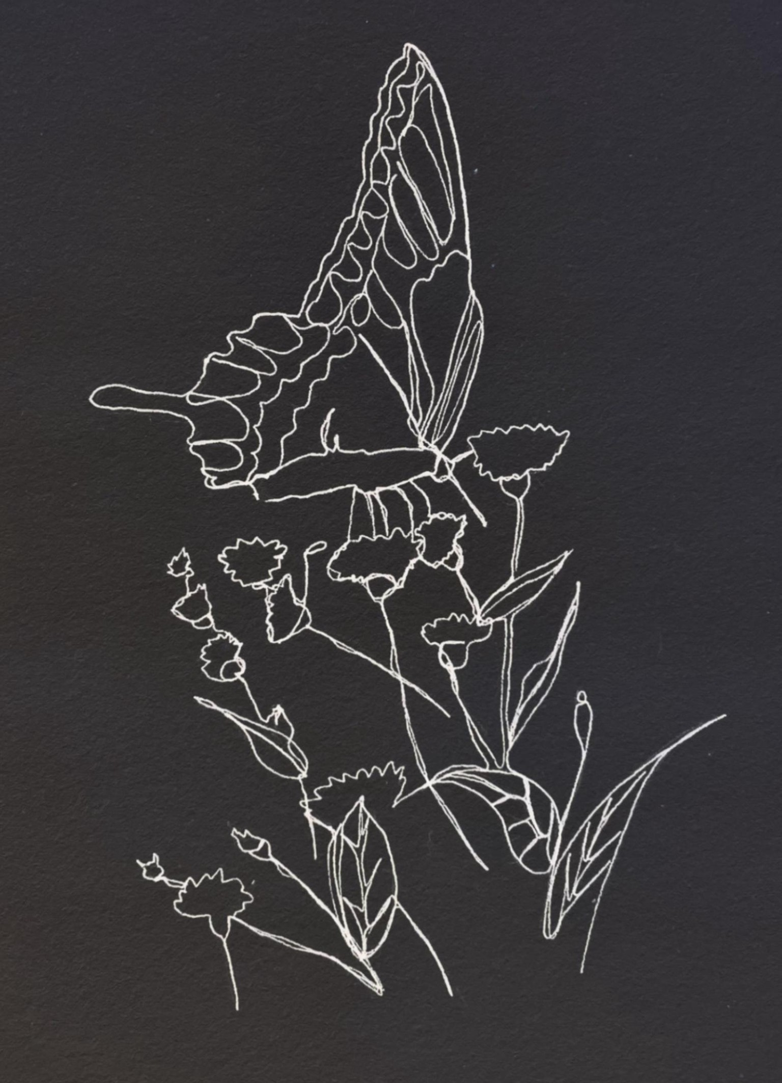One line drawing, plants and butterfly - image 5 - student project