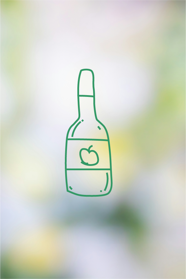 (WIP) All Class Projects - Illustrator Essentials - image 13 - student project