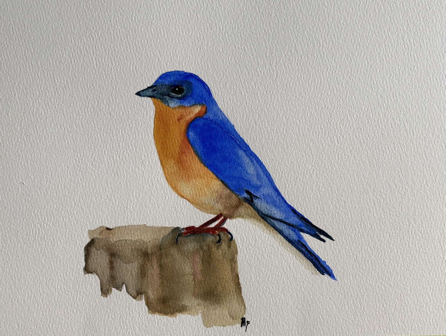Paint a bluebird using layers. - image 1 - student project