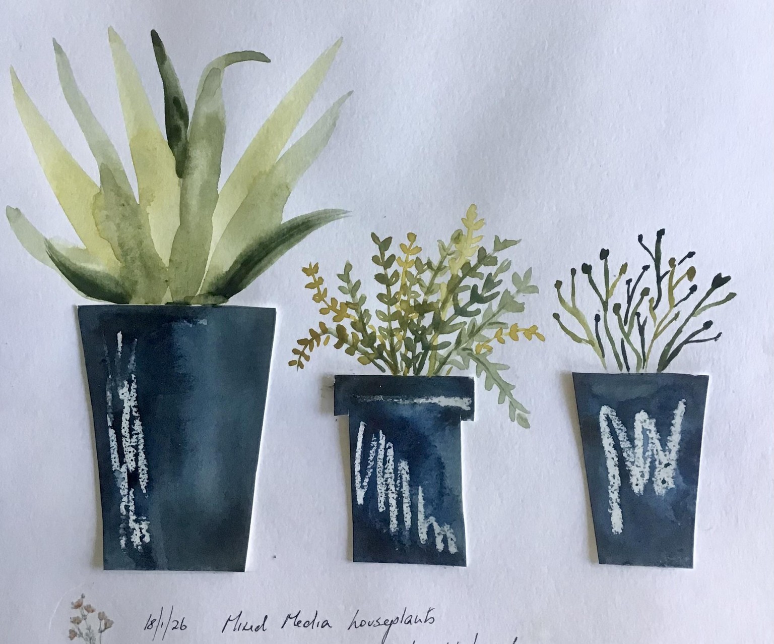 Mixed media house plants - image 1 - student project