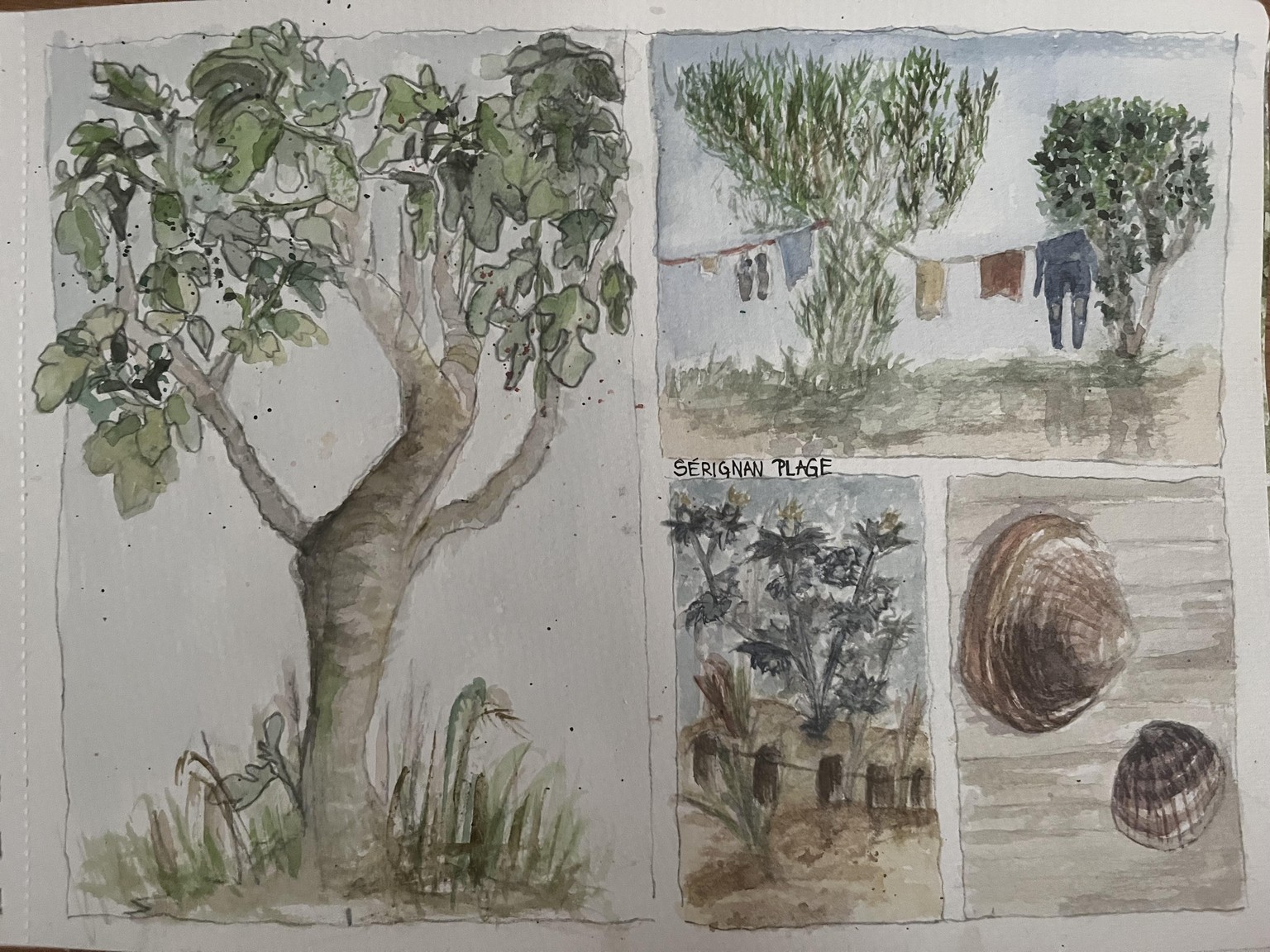 Roadtrip France 2026 - image 3 - student project