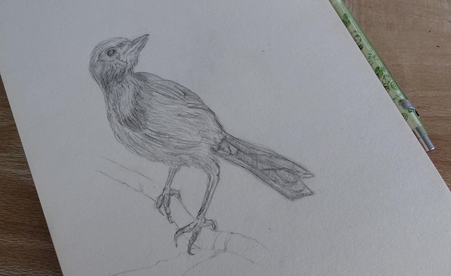 Practice projects - image 3 - student project
