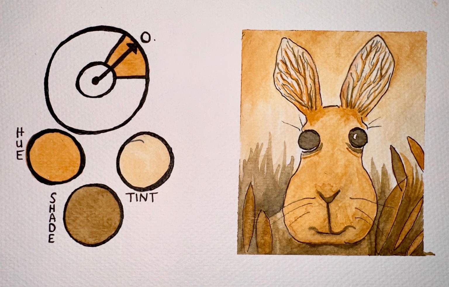 Sun Bunny - image 1 - student project