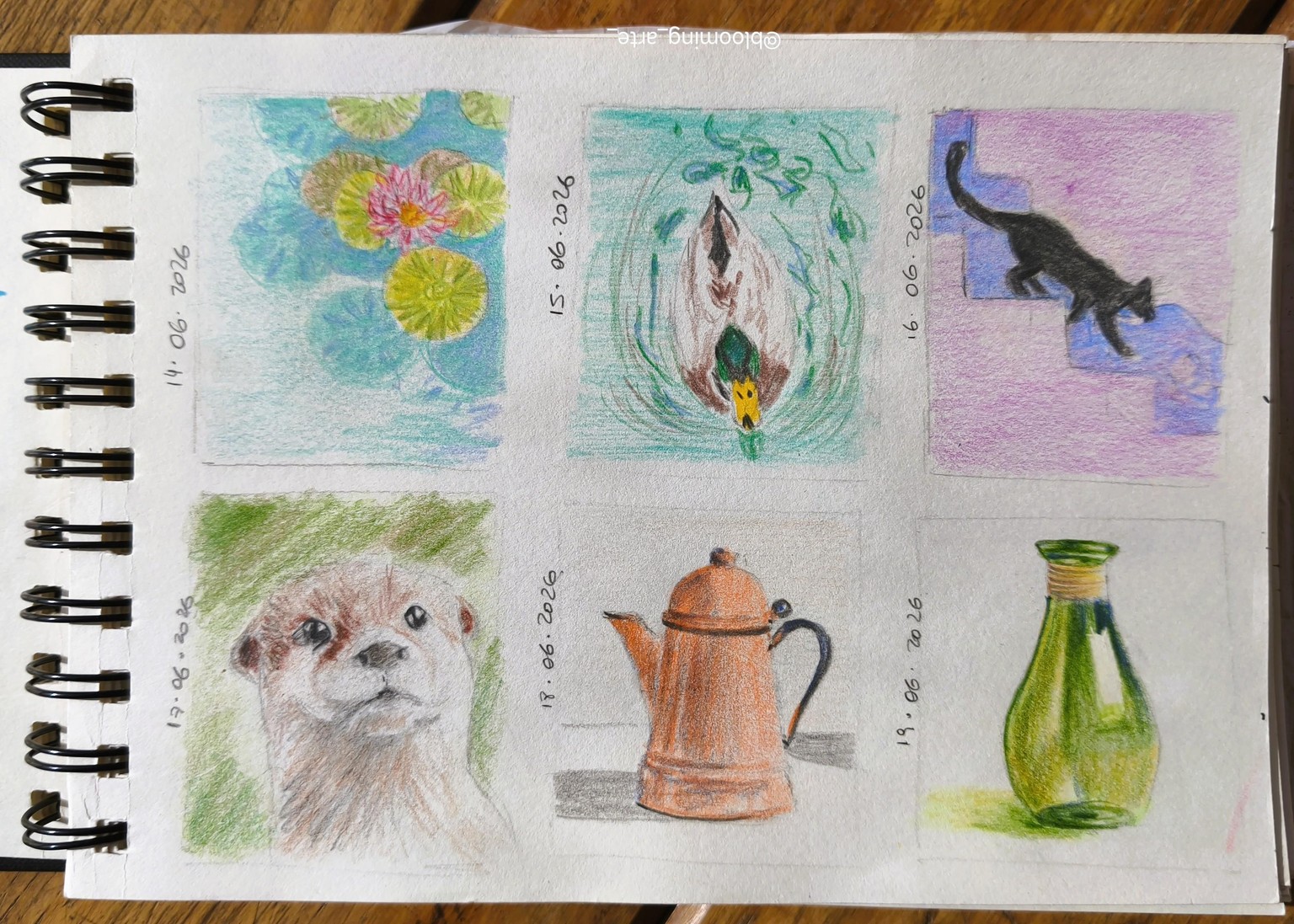5 Minute Sketches: Colored Pencil Thumbnails for Better Paintings - image 4 - student project