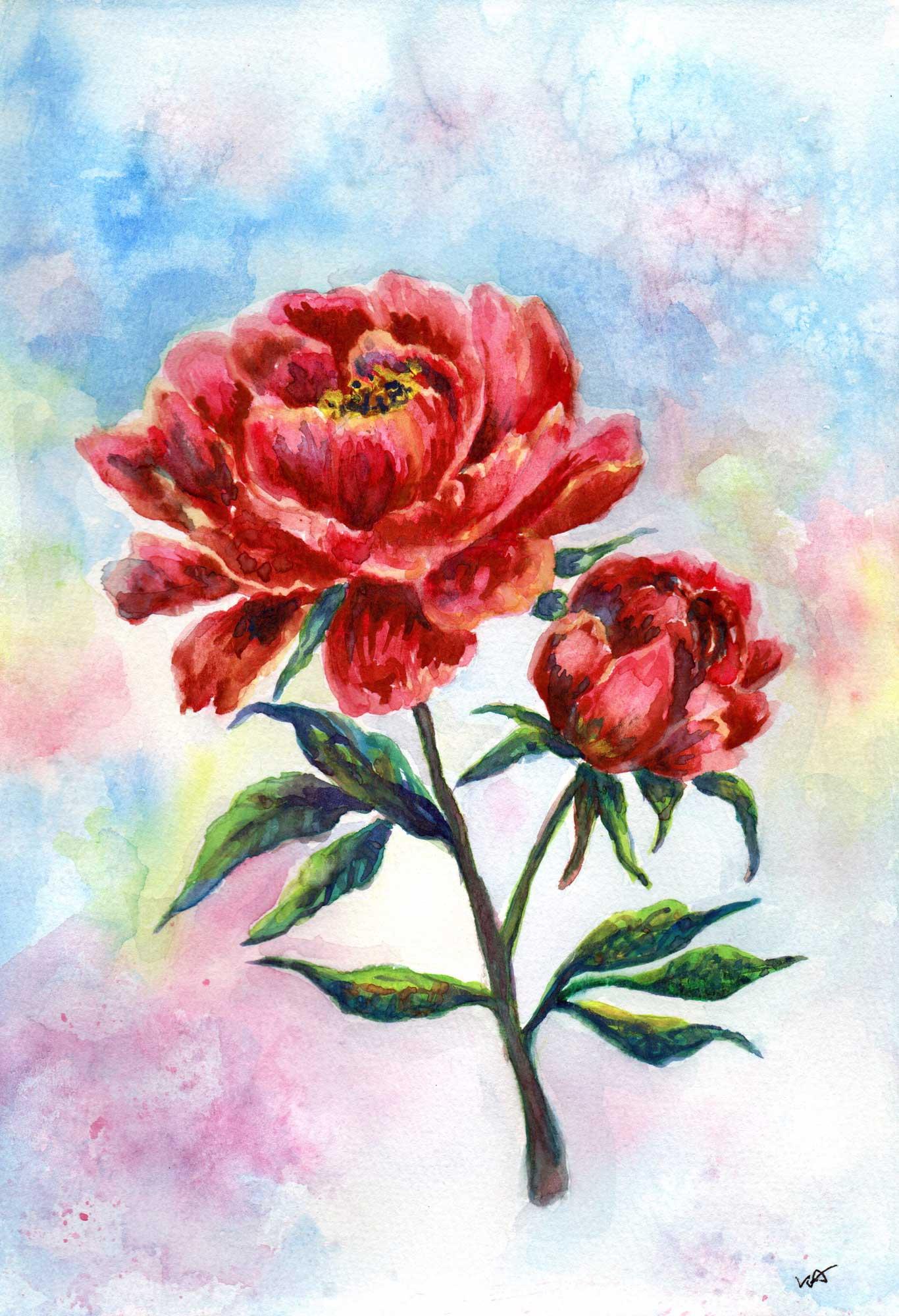 Peony with bud - image 1 - student project