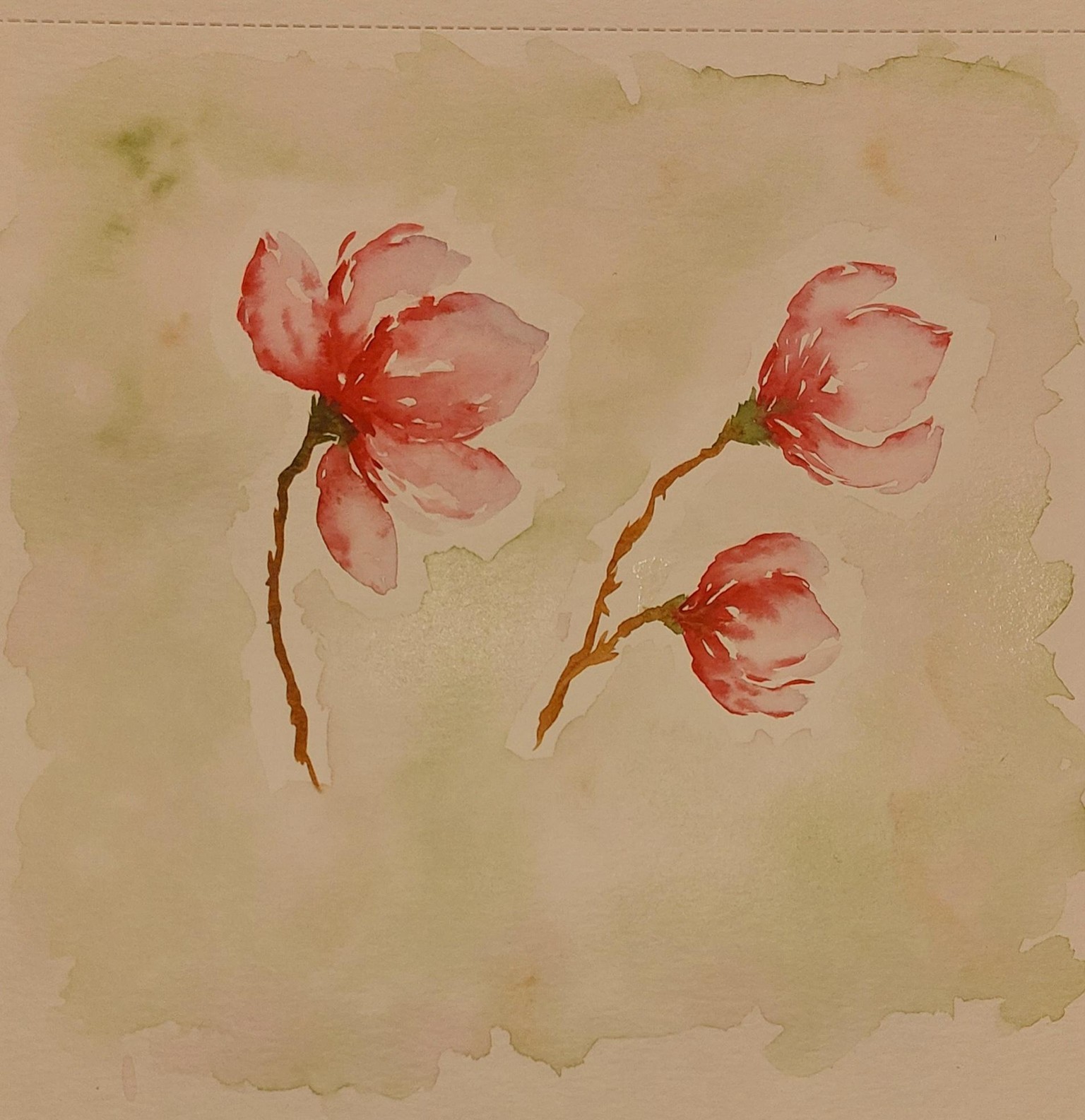 Magnolia' secret garden - image 1 - student project