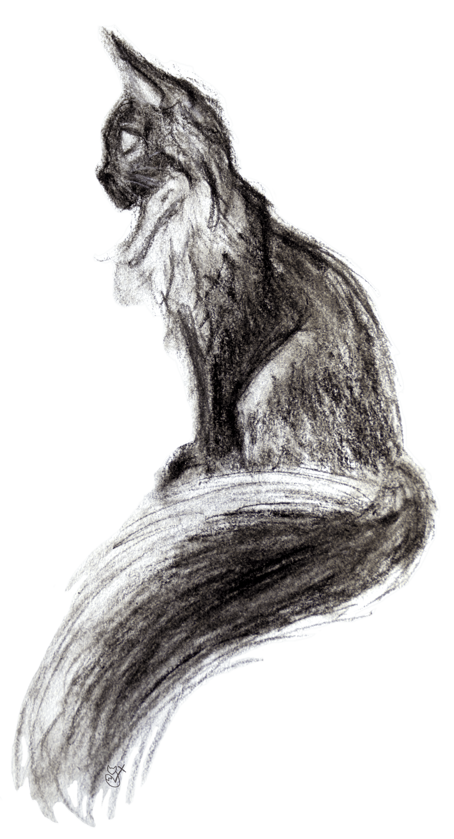 Digitizing art: charcoal cat - image 1 - student project