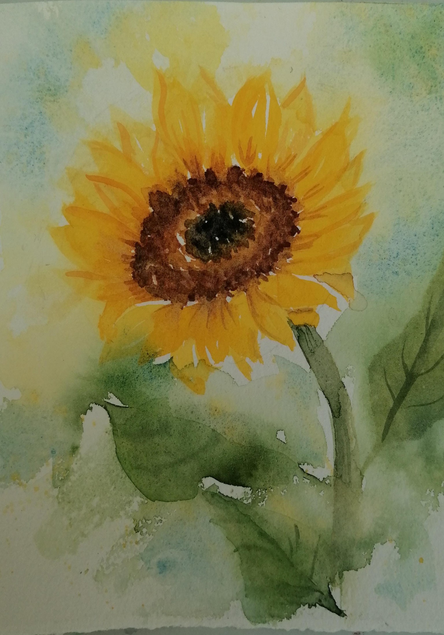 Tournesol - image 1 - student project