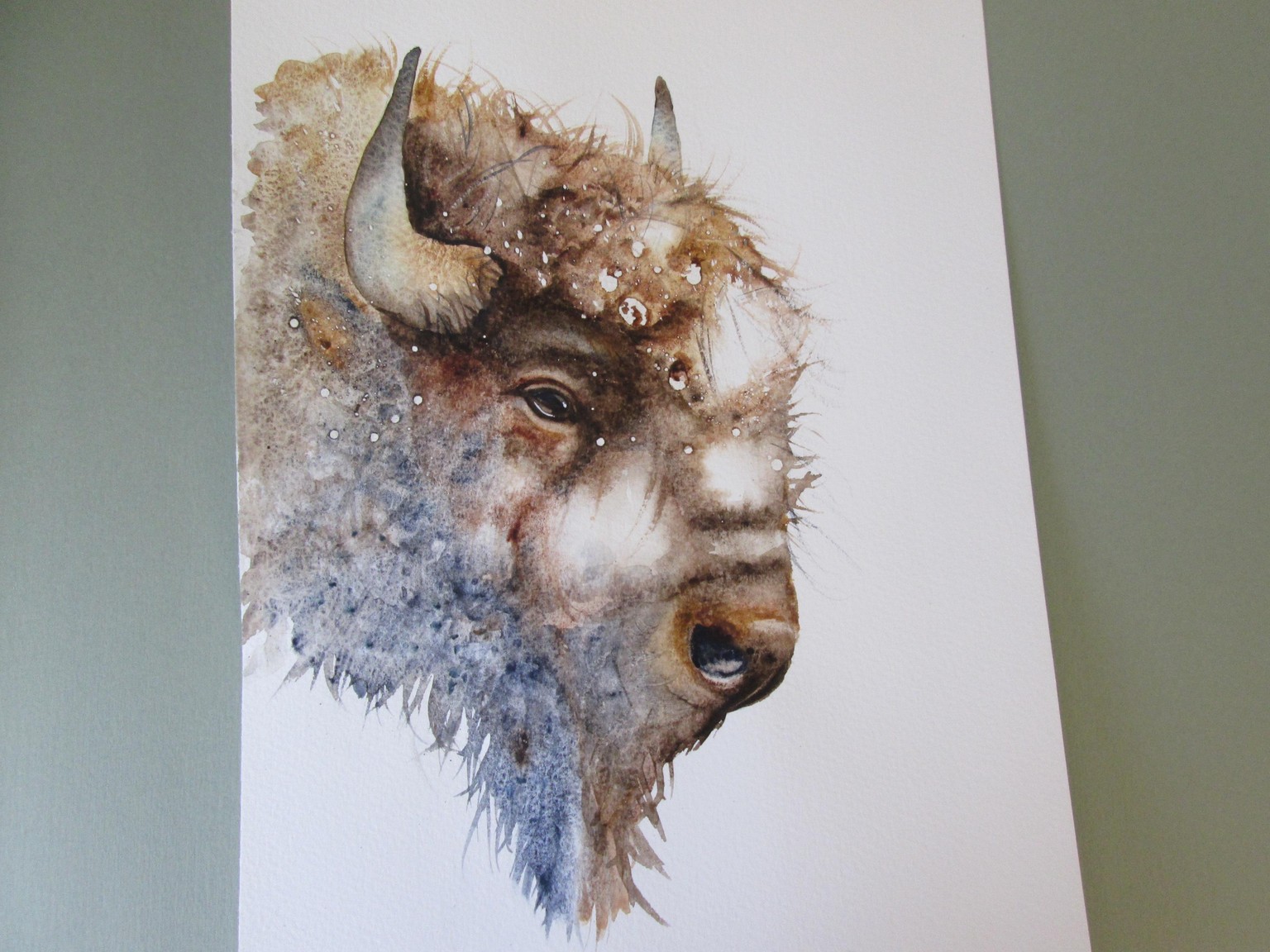 Snowy Bison - image 1 - student project