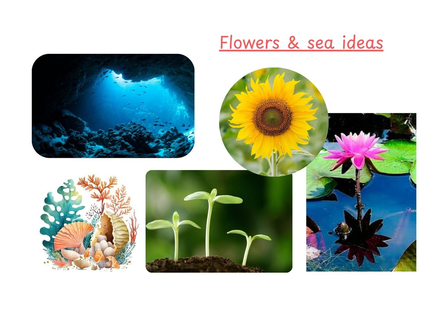 From the Depths, New Life Blossoms - image 7 - student project