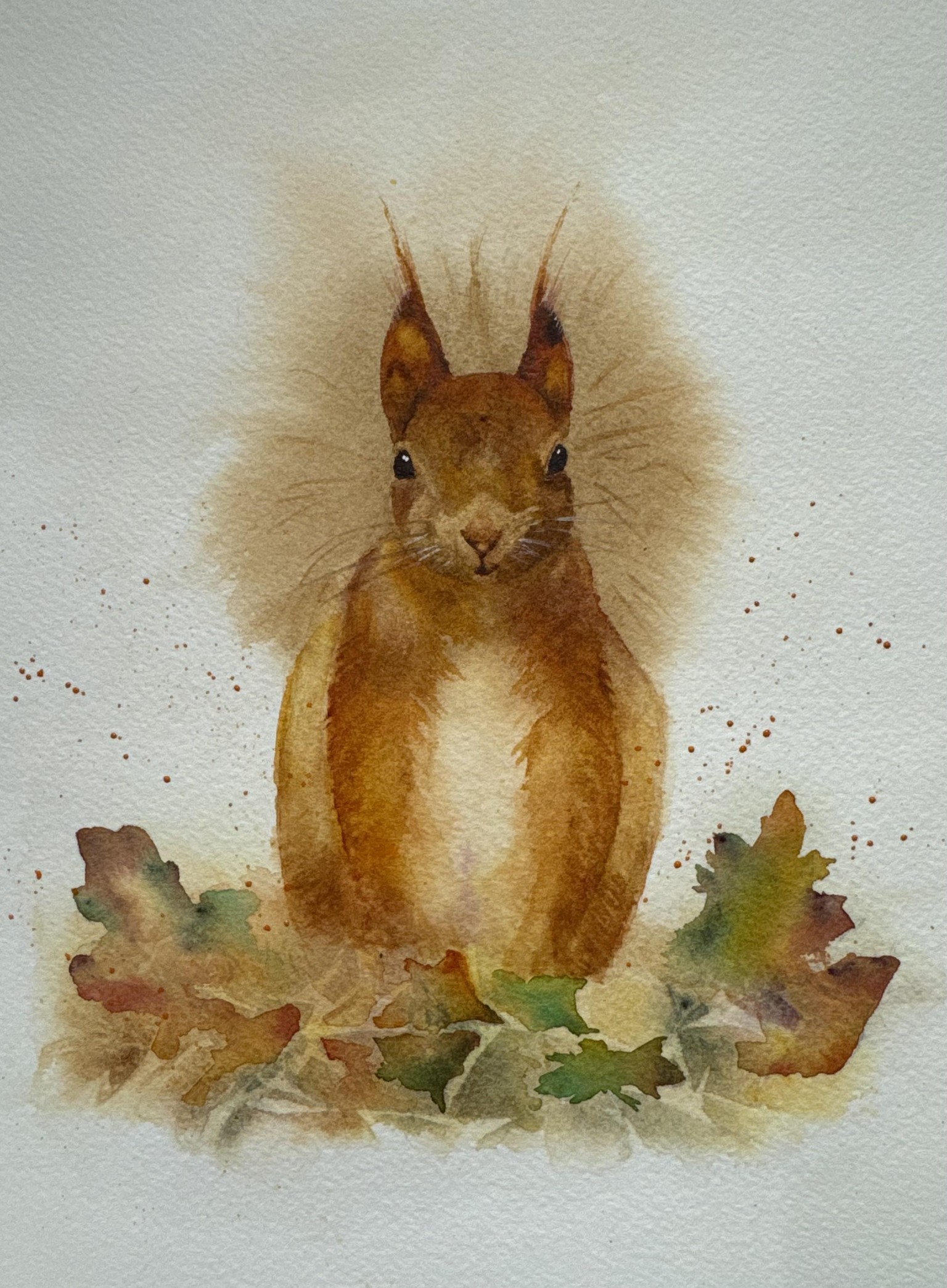 Cyril the Squirrel - image 1 - student project