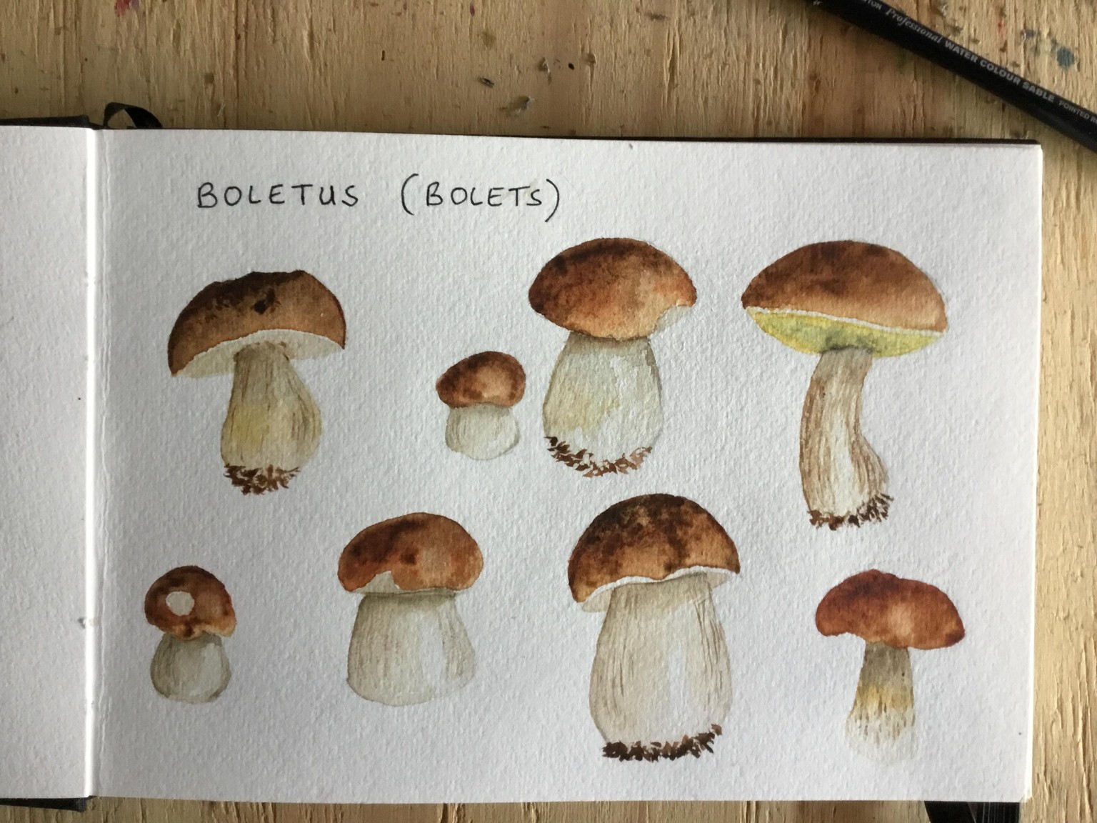 Autumn in Watercolour - image 1 - student project