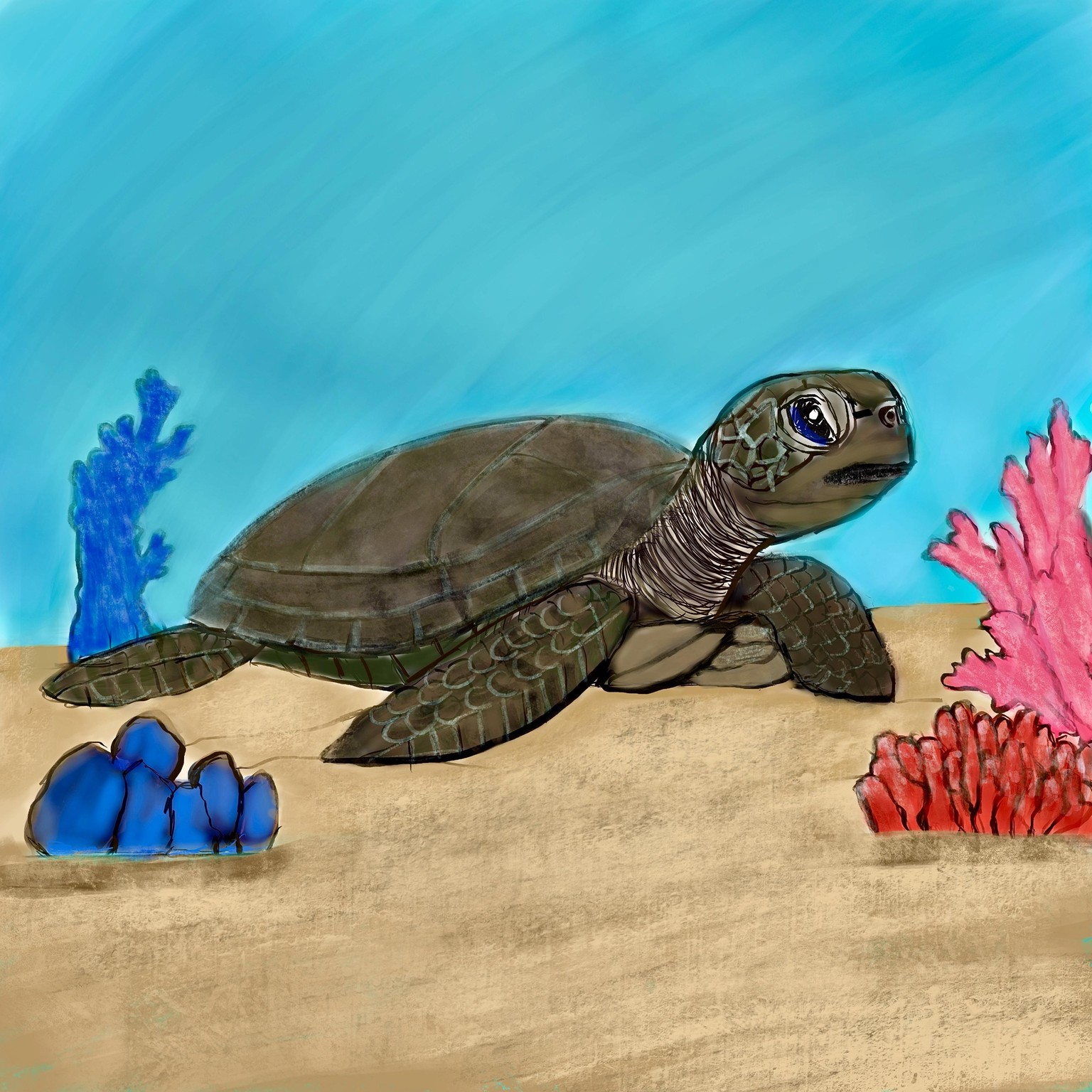 Project 1 - TURTLE - image 1 - student project